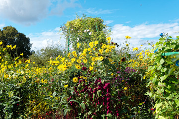 Monet's Garden Giverny France