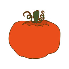 pumpkin vegetable icon over white background. colorful design. vector illustration
