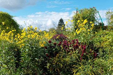 Monet's Garden Giverny France