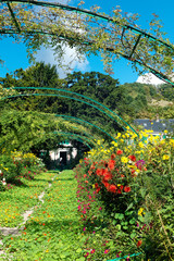 Fototapete bei efototapeten.de bestellen   