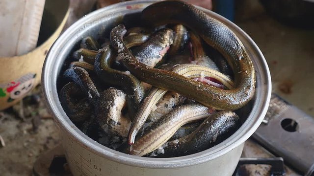 Close-up of snakes cooking in boiling water inside a steel pot
