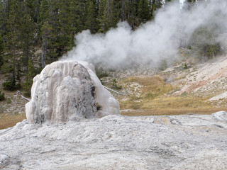 Thermal Feature and Geyser Yellowstone National park