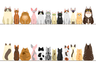 cats border set, front view and rear view - obrazy, fototapety, plakaty