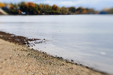 Seagulls on a Rocky Beach