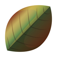 Leaf icon. Plant floral garden decoration and ornament theme. Isolated design. Vector illustration