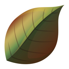 Leaf icon. Plant floral garden decoration and ornament theme. Isolated design. Vector illustration