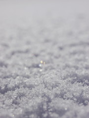 Obraz premium Snow surface winter