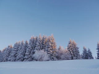 snow landscape winter