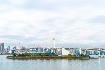 Obraz premium Tokyo skyline with Tokyo tower and rainbow bridge.