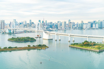 Fototapeta premium Tokyo skyline with Tokyo tower and rainbow bridge.