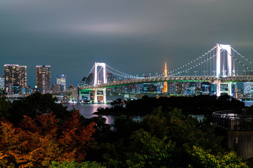 Tokyo skyline with Tokyo tower and rainbow bridge.