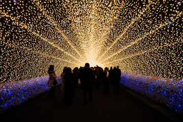 The tunnel of light in Nabana no Sato garden at night in winter,