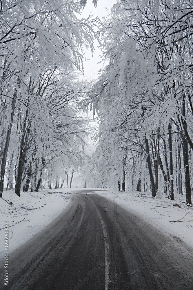 Wall mural snowy road conditions