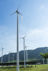 Row of wind turbines