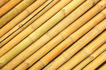 Natural bamboo fence for background