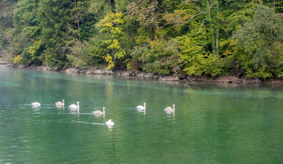 Lake Alpsee in Germany
