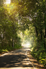 country road and sunlight