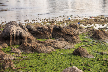 Dalian evening city building