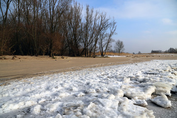Eisschollen an der Elbe