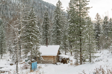 House under snow in winter wood chalet among spruce trees in the