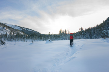 Girl backpacker walking on a forest road in the winter forest in