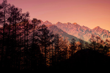 Colorful Mountain and Woods in Dramatic Vintage Filter Effect, Cross processed vintage and Double Exposure effect