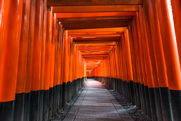 Fototapeta premium Torii gates in Fushimi Inari Shrine, Japan for three consecutive years to become the most popular tourist destinations. Kyoto, Japan