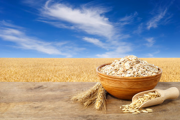oatmeal in ceramic bowl
