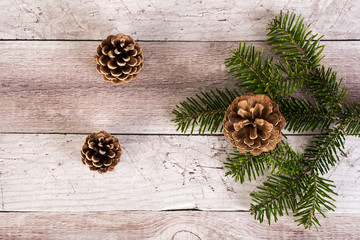 Pine branch and cone on a wooden background