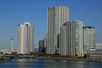 Fototapeta na wymiar 東京豊洲の高層ビル群