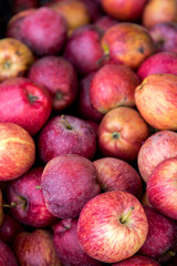 Organic fruits on local market ready for sell