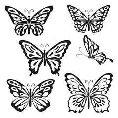 Fototapeta na wymiar Set of butterflies