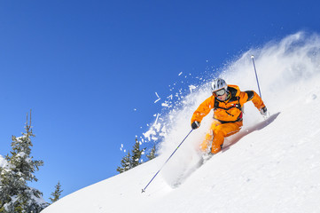 dynamisch unterwegs im Tiefschnee