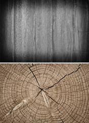 Wood texture. Lining boards wall. Wooden background. pattern. Showing growth rings. set, groupings