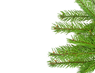 Christmas green framework isolated on white background