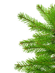 Obraz premium Christmas green framework isolated on white background