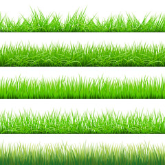Green Grass Big Set, Vector Illustration