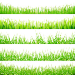 Green Grass Big Set, Vector Illustration