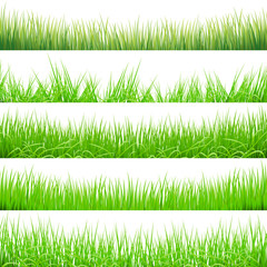5 Backgrounds Of Green Grass, Isolated On White Background, Vector Illustration