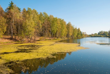 Fototapeta na wymiar Autumn forest on the bank of blue lake