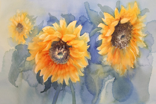 sunflowers on green background watercolor