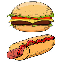 Burger and hot dog. Hand drawn colored sketch
