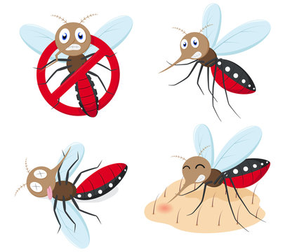 Mad Mosquito Cartoon Images – Browse 734 Stock Photos, Vectors, and ...