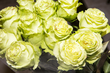 roses, bouquet of white roses