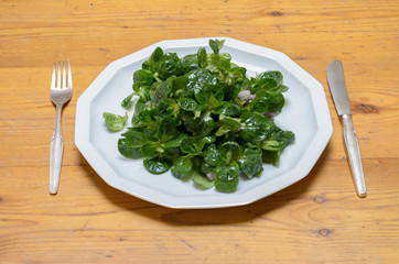 Plate full of fresh green baby spinach leaves