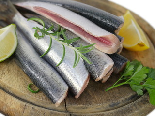  fresh fishes herrings