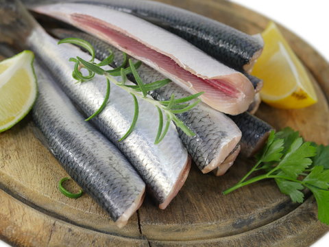  fresh fishes herrings