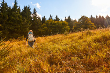 Wandern im Harz