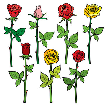 Red vector roses with flower buds isolated on white. Cartoon illustration