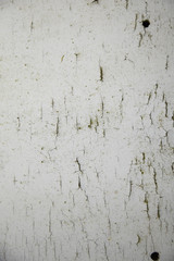 A whole page of wood with peeling white paint background texture